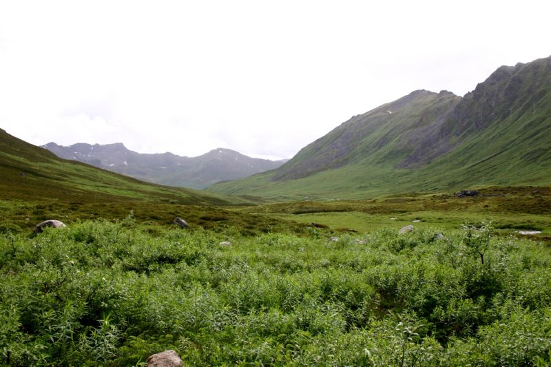 070404 Hope Hatcher Montana Creek (10164)